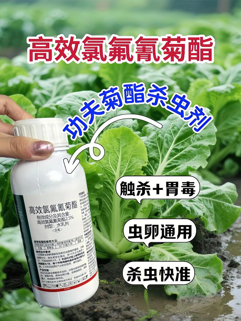 开州代生中心:农药对供卵代生妈妈的危害